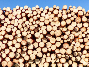 Isparta Sektörel İstişare Toplantıları Ağaç İşleme ve Kerestecilik Teması İle Devam Ediyor Galeri