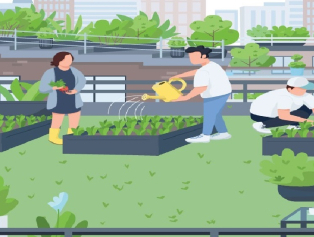 Kent İçi Tarım Uygulamaları Araştırma Raporumuz Yayımlandı Galeri