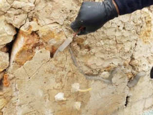 İlklerin Tarihi Patara Projesi Tüm Hızıyla Devam Ediyor Galeri