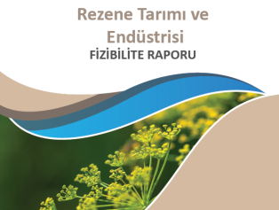 Rezene Tarımı ve Endüstrisi Fizibilite Raporumuz Yayımlandı Galeri