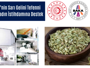 Göller Yöresi’nin Sarı Gelini Tefenni Rezenesi ile Kadın İstihdamına Destek Galeri