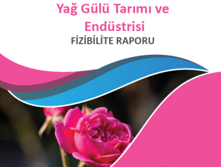 Yağ Gülü Tarımı ve Endüstrisi Fizibilite Raporumuz Yayımlandı Galeri